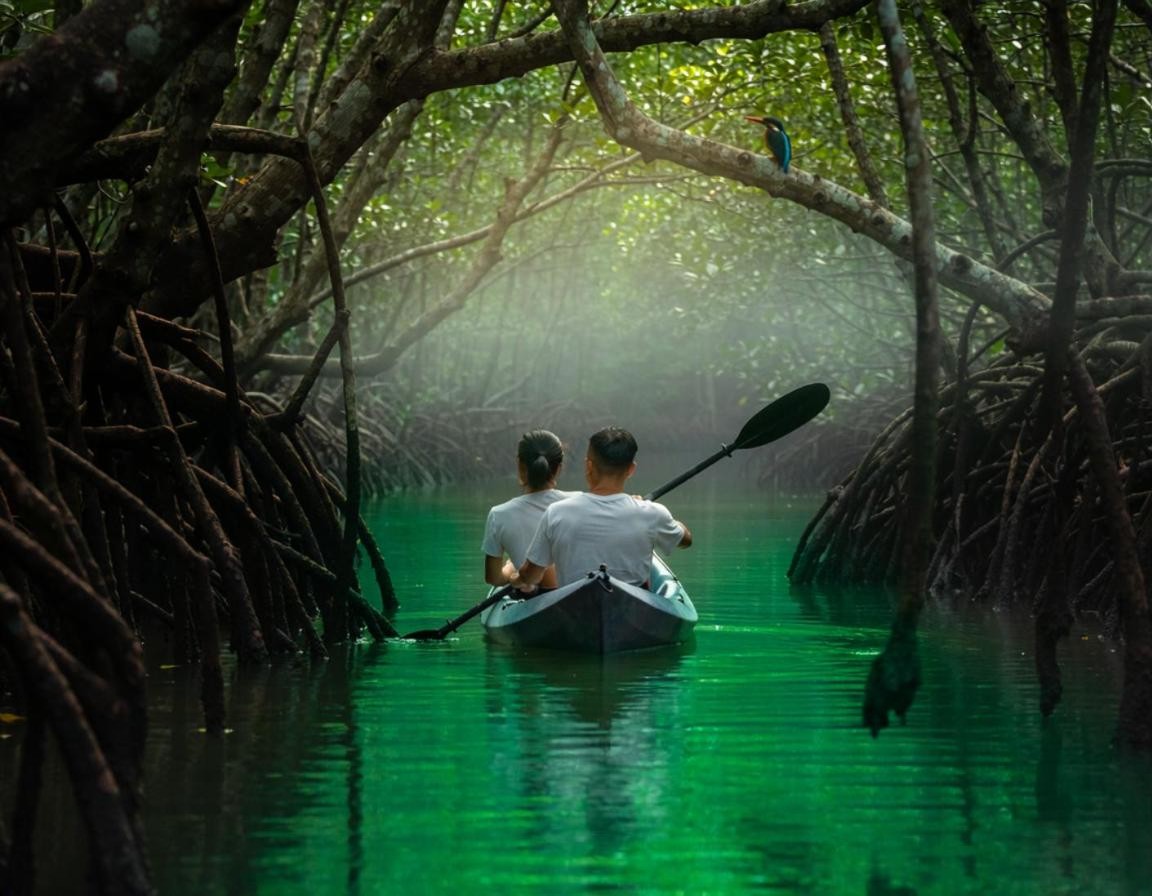 Kayaking through a mangrove channel near Laguna Phuket (illustration)